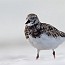 thumbs/IMG_1158.jpg